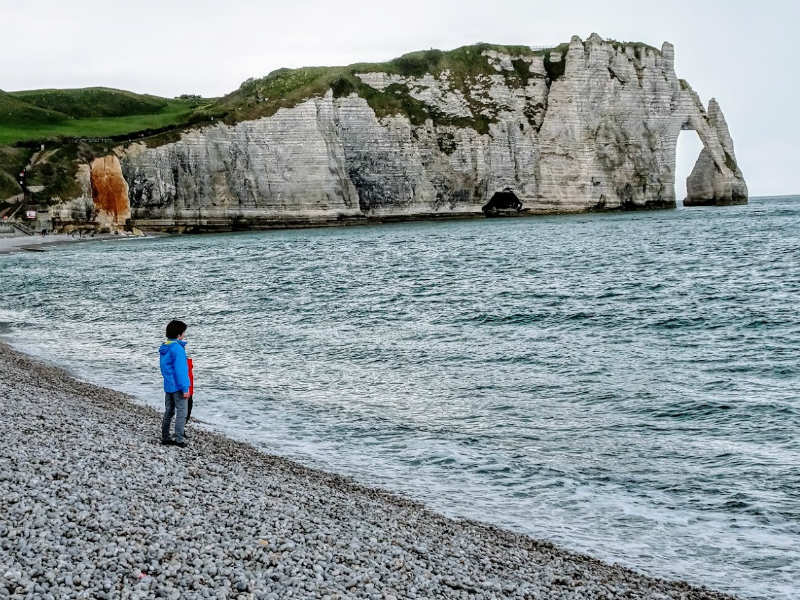 Pommiers en fleurs en Normandie 2