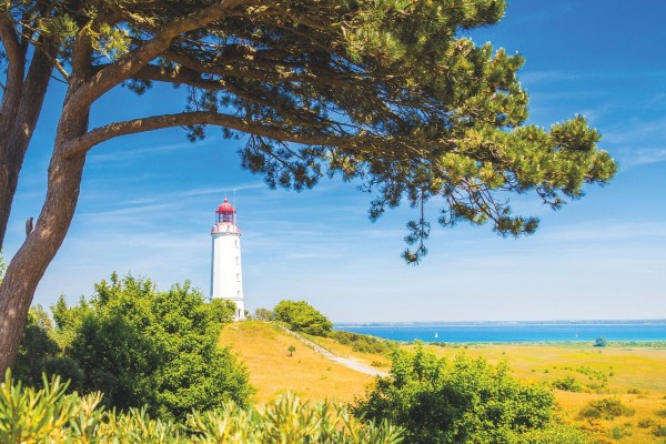 Sommer auf Rügen 118