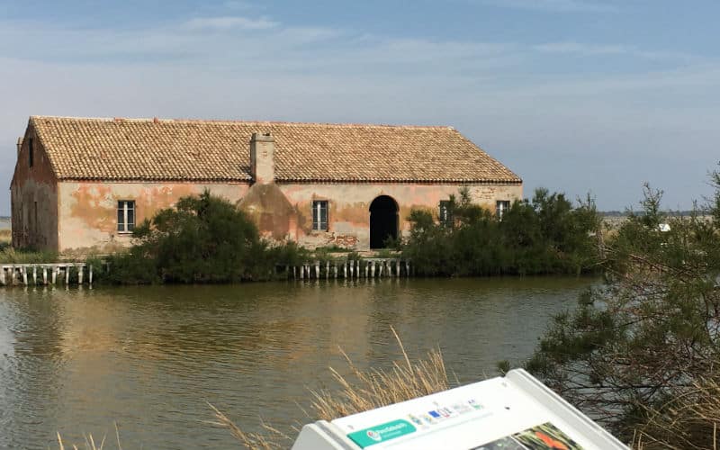 rb-gassmann-emiliaromagna18 Zauberhafte Emilia Romagna 21