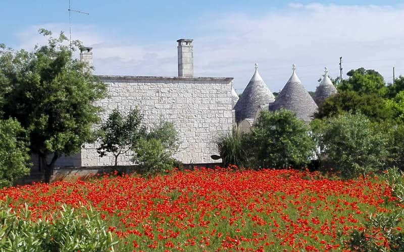 rb_IrèneMarti_ctapul4 Apulien – im Land der Trulli mit Irène Marti 15