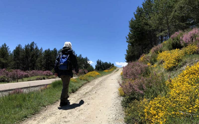 rb_albrecht_ctjako30 Auf den Spuren des Jakobsweg 21