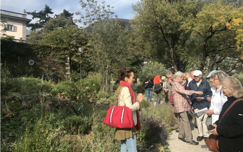 rb_amiet_sonnenstube-tessin13 Sonnenstube Tessin & Gotthard Panorama Express 10