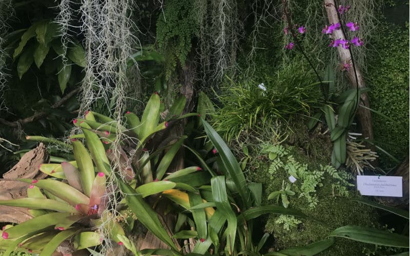 rb_amiet_sonnenstube-tessin14 Sonnenstube Tessin & Gotthard Panorama Express 16