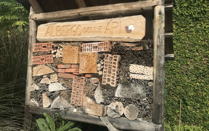 rb_amiet_sonnenstube-tessin15 Sonnenstube Tessin & Gotthard Panorama Express 18