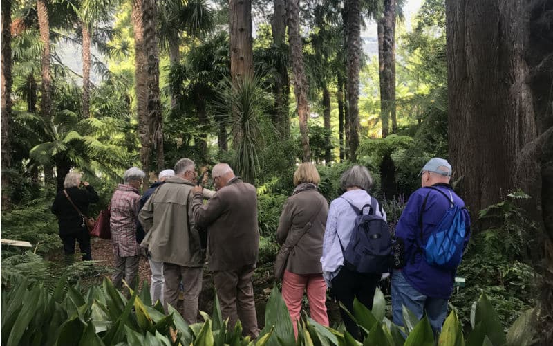 rb_amiet_sonnenstube-tessin17 Sonnenstube Tessin & Gotthard Panorama Express 9