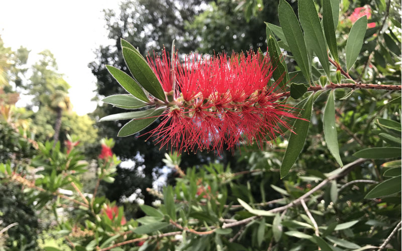rb_amiet_sonnenstube-tessin19 Sonnenstube Tessin & Gotthard Panorama Express 14
