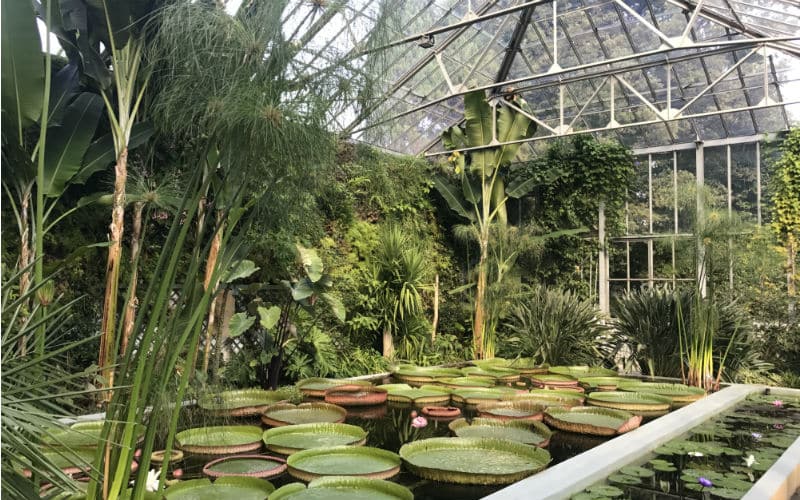 rb_amiet_sonnenstube-tessin21 Sonnenstube Tessin & Gotthard Panorama Express 12