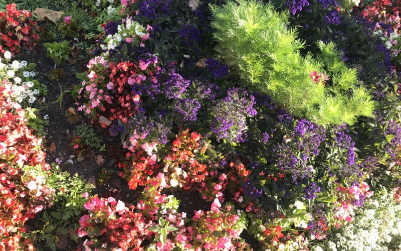 rb_amiet_sonnenstube-tessin4 Sonnenstube Tessin & Gotthard Panorama Express 24