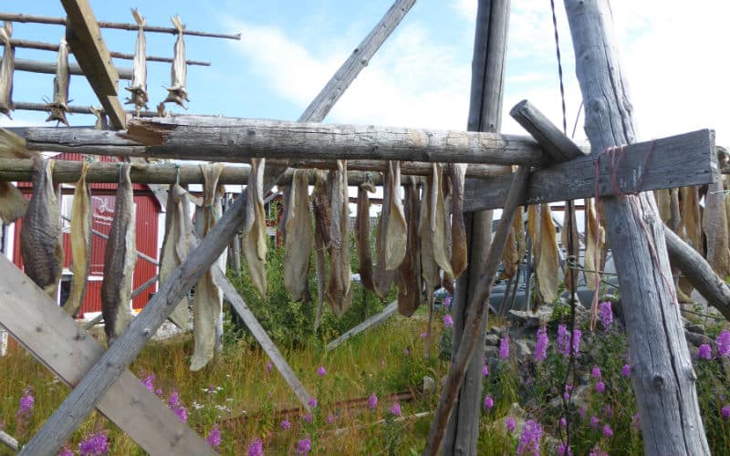 rb_arn_ctnolo_20 Fascination Cap Nord & Lofoten 9