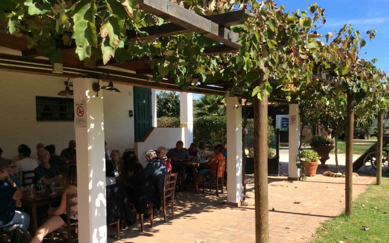 rb_coray_elba19 Insel Elba mit Viviana Coray 19