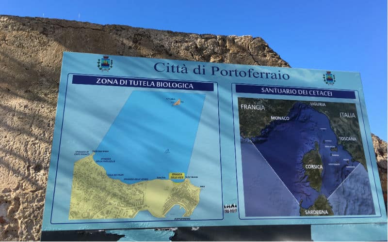 rb_coray_elba23 Insel Elba mit Viviana Coray 6