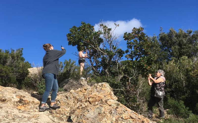 rb_coray_elba4 Insel Elba mit Viviana Coray 24