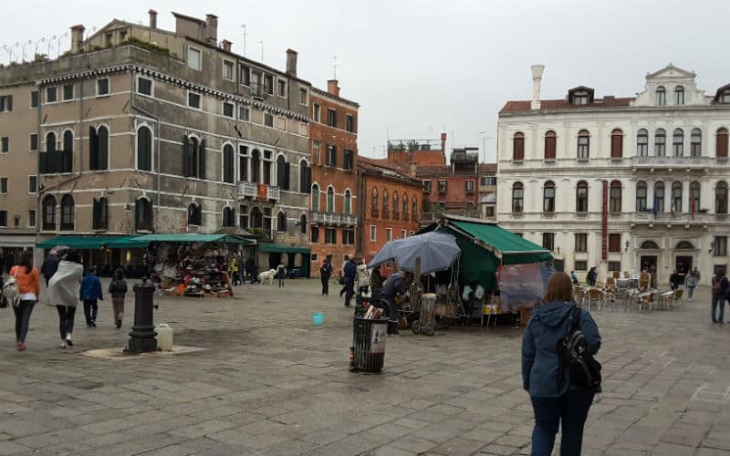 rb_crestani_5städte-safari12 Safari 5 Villes 8