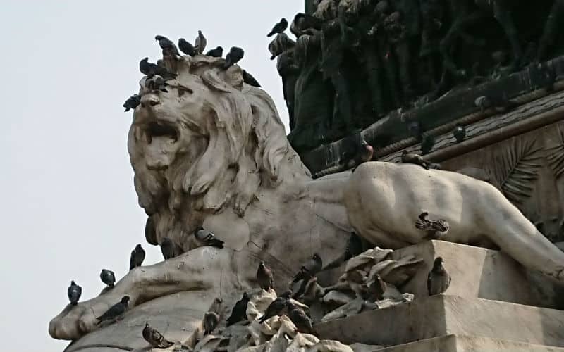 rb_crestani_5städte-safari17 Safari 5 Villes 6