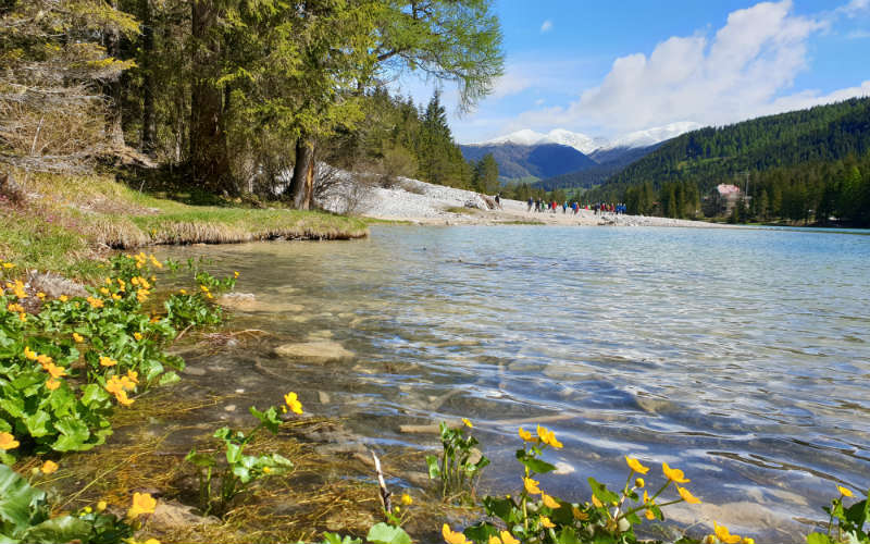 rb_degiorgi_ctdolo25 Südtiroler Dolomiten 15