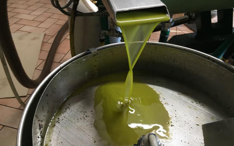 rb_gassmann_ctdovi_1 La Dolce Vita & Co. 4