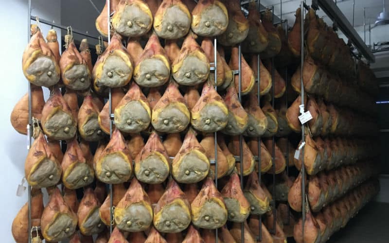 rb_gassmann_ctdovi_33 La Dolce Vita & Co. 36