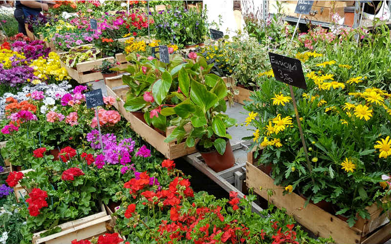 rb_greve_ctfalp_23 Französisches Alpenseen Panorama 33