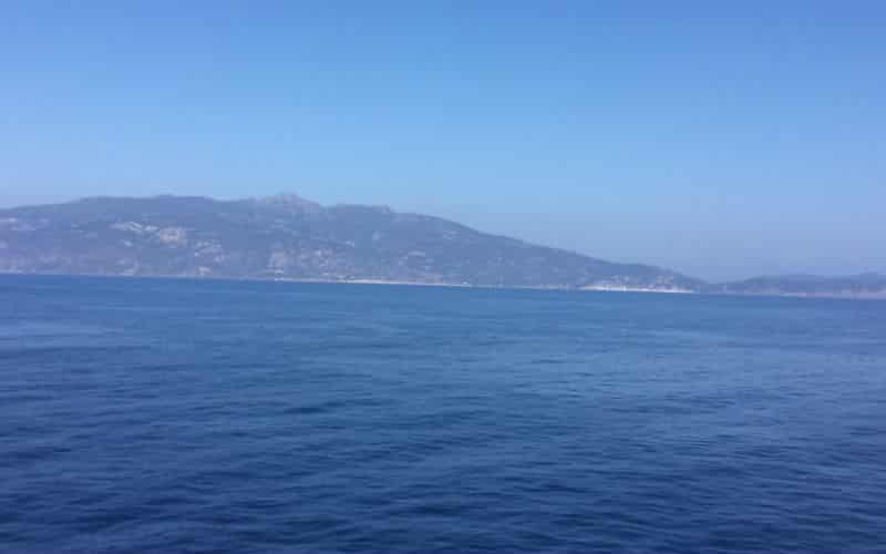 rb_halter_cthesi_11 Herbstaktion Sizilien 14