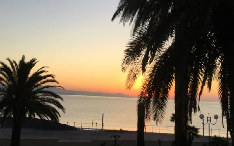 rb_halter_cthesi_19 Herbstaktion Sizilien 22