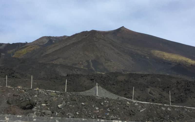 rb_halter_cthesi_2 Herbstaktion Sizilien 5