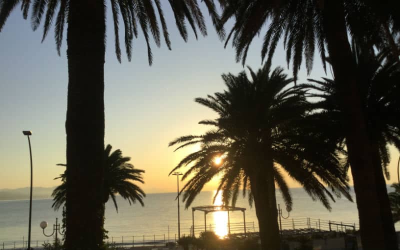 rb_halter_cthesi_20 Herbstaktion Sizilien 23