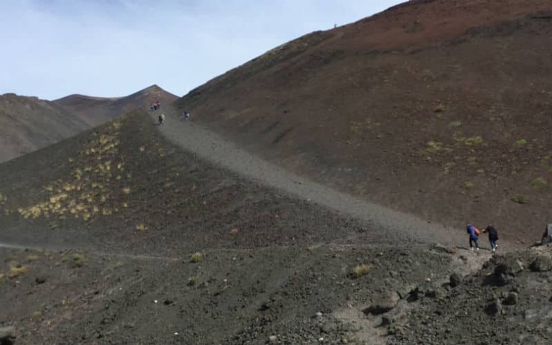 rb_halter_cthesi_6 Herbstaktion Sizilien 9