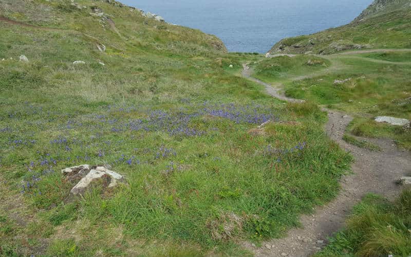 rb_jähn_ctwase28 Südenglands Traumküsten und wunderschöne Landschaften 12