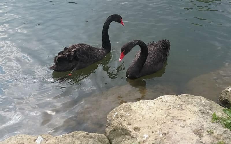 rb_jähn_ctwase3 Südenglands Traumküsten und wunderschöne Landschaften 37