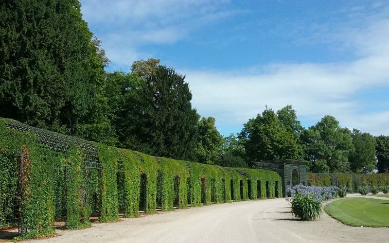 rb_jähn_heidelberg10 Romantisches Heidelberg 17