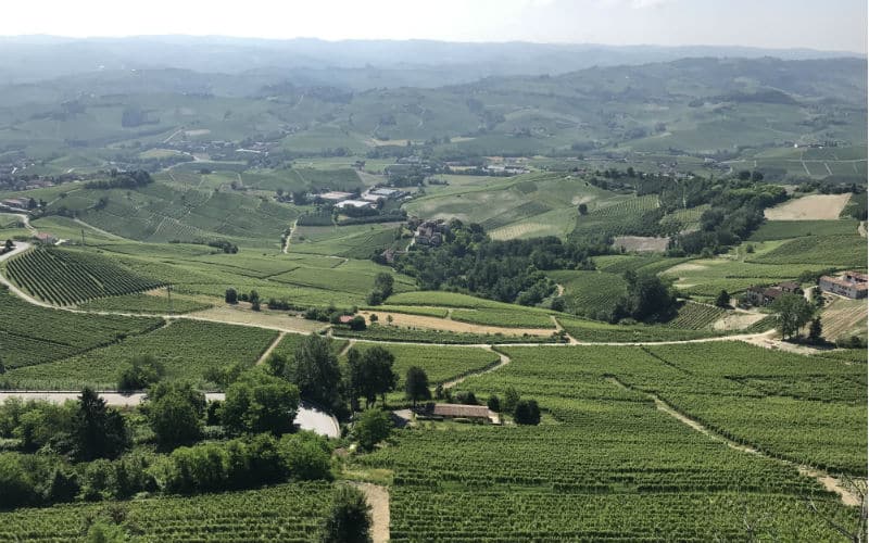 rb_lipp_czbemm_25 Vom Berner Oberland bis ans Mittelmeer 22