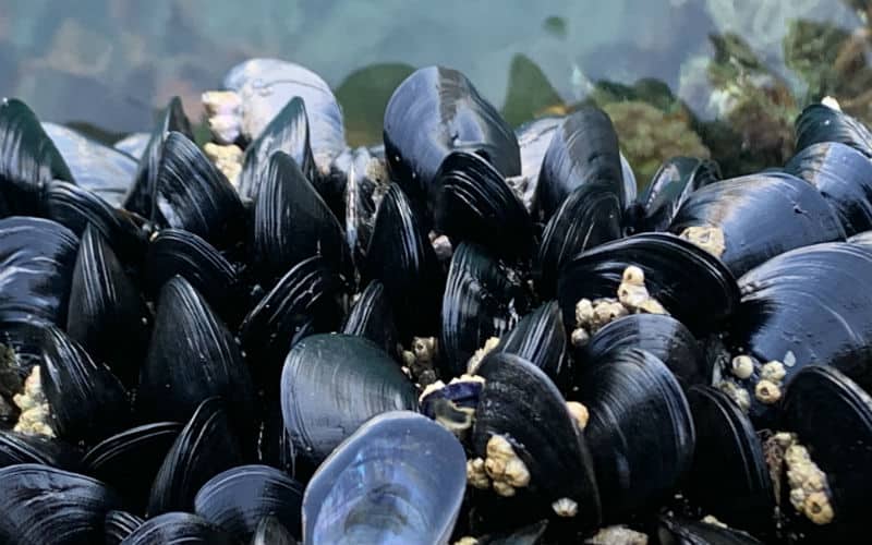 rb_marti_ctkoap2 Korfu & Apulien 31