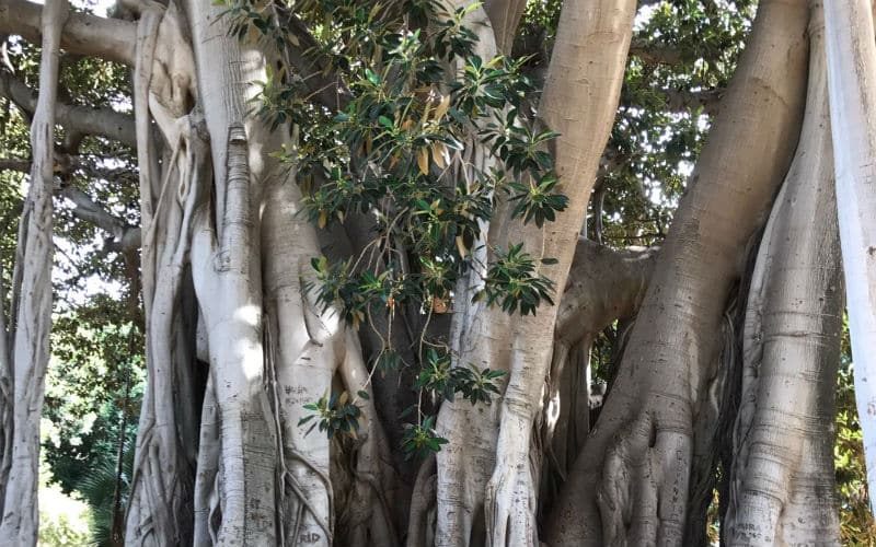 rb_marti_sardinien-sizilien2 Sardinien & Sizilien 35