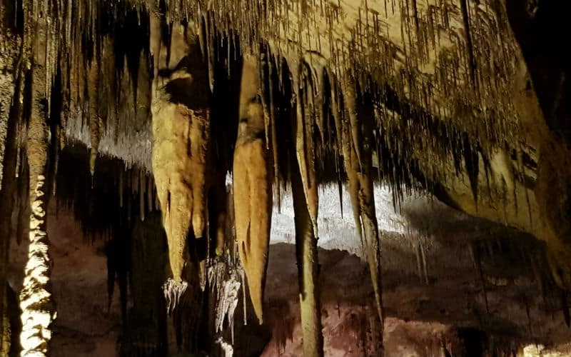 rb_megert_ctmall23 Buenos Dias Mallorca 5