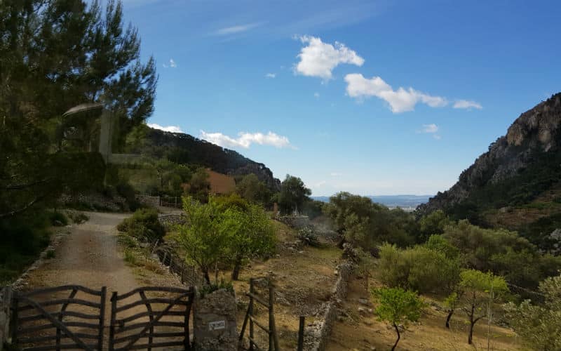 rb_megert_ctmall8 Buenos Dias Mallorca 8