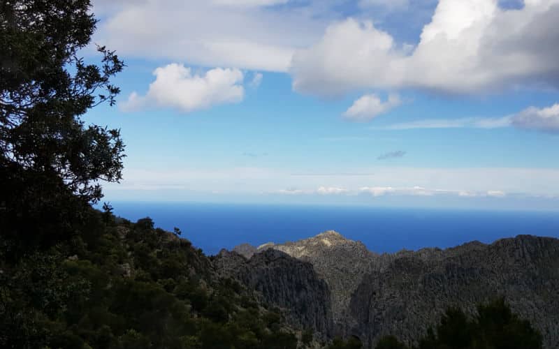 rb_megert_ctmall9 Buenos Dias Mallorca 7