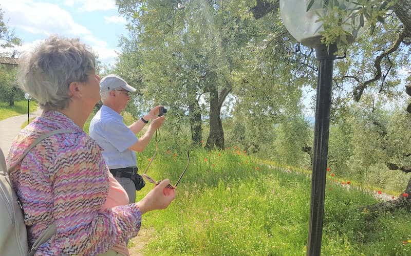 rb_oberholzer_cttoskv24 Bilderbuch Toskana 14