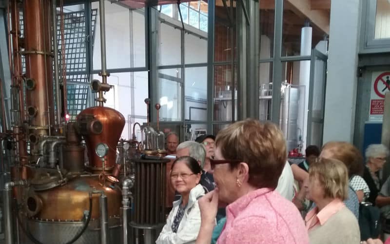 rb_rinalid_ctlimo4 Limone au lac de Garde 22