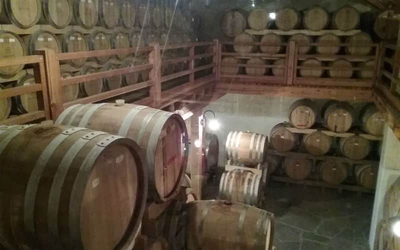 rb_rinalid_ctlimo5 Limone au lac de Garde 23