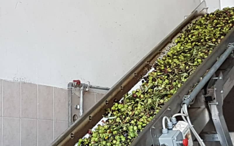 rb_schädeli_ctdovi_10 La Dolce Vita & Co. 12