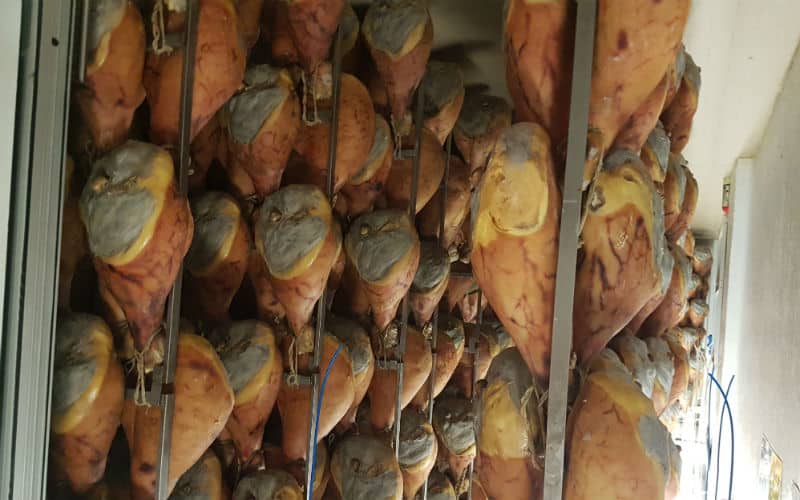 rb_schädeli_ctdovi_14 La Dolce Vita & Co. 16