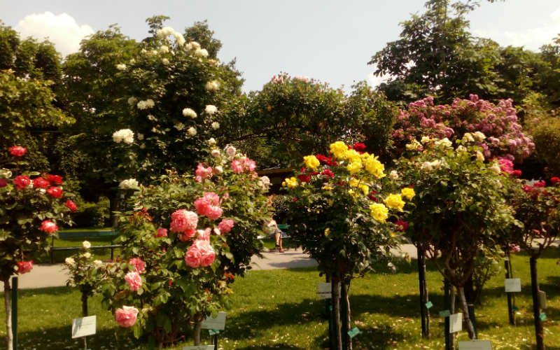 rb_snaterse_ctbuwi36 Prague, Budapest & Vienne 9