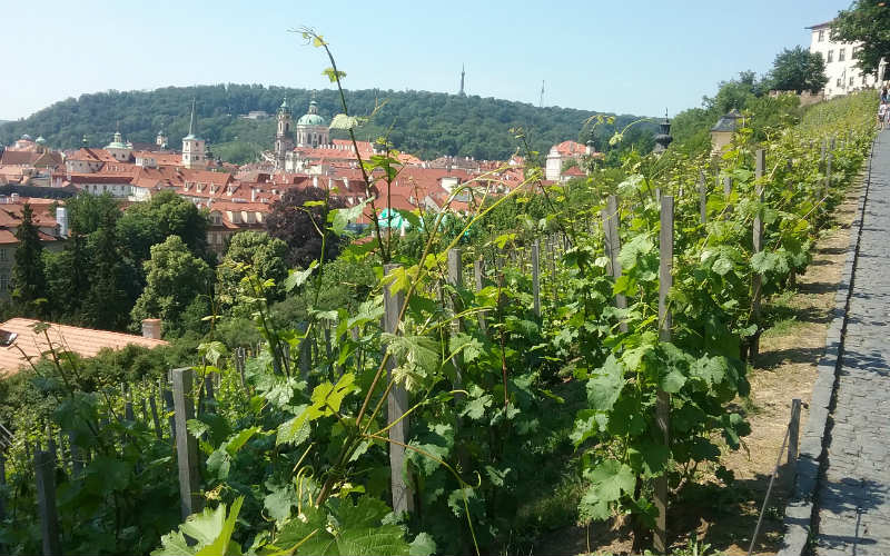 rb_snaterse_ctbuwi4 Prague, Budapest & Vienne 39