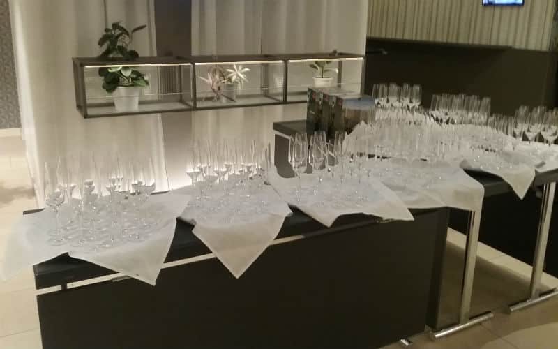 rb_snaterse_ctjawi14 Réveillon de la Saint-Sylvestre à Vienne 6