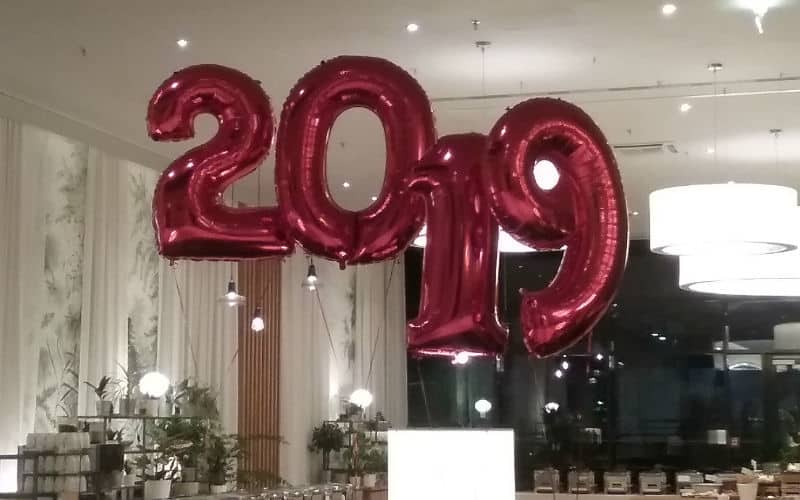 rb_snaterse_ctjawi15 Réveillon de la Saint-Sylvestre à Vienne 7