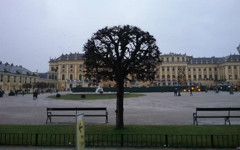 rb_snaterse_ctjawi5 Réveillon de la Saint-Sylvestre à Vienne 17