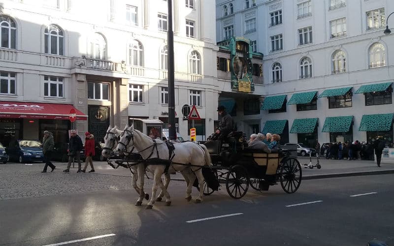 rb_snaterse_ctjawi7 Réveillon de la Saint-Sylvestre à Vienne 15