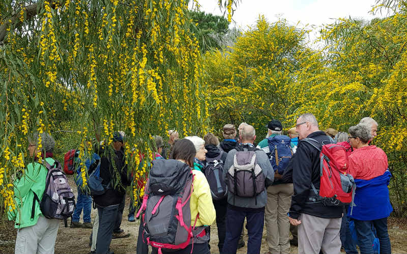 rb_wunderlich_ctwasa10 Küstenwandern auf Sardinien 23