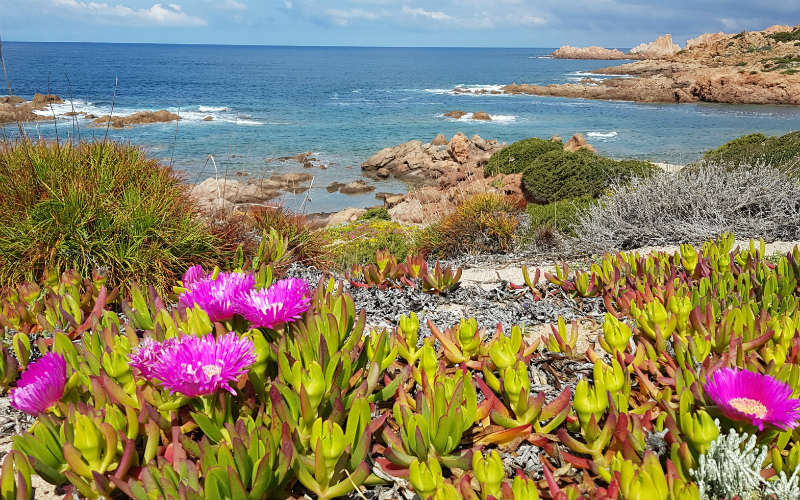 rb_wunderlich_ctwasa11 Küstenwandern auf Sardinien 24