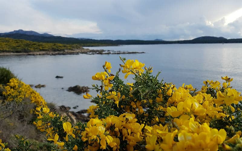 rb_wunderlich_ctwasa5 Küstenwandern auf Sardinien 31